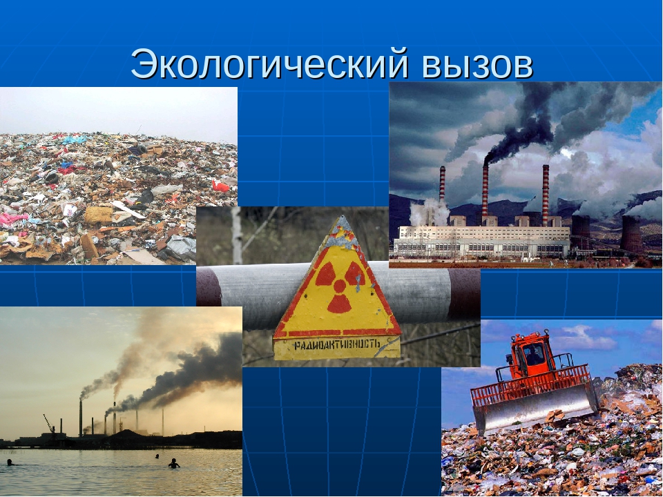 Конференция: «Экологические вызовы и векторы стратегии устойчивого развития городов»